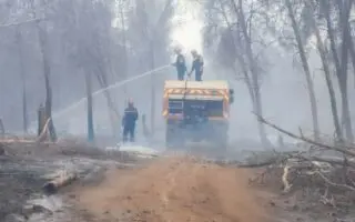 Incendies : La Protection civile mobilisée contre trois foyers toujours actifs