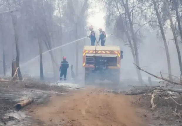 Incendies : La Protection civile mobilisée contre trois foyers toujours actifs