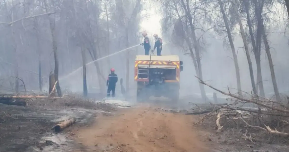 Incendies : La Protection civile mobilisée contre trois foyers toujours actifs
