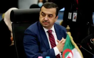 Hydrocarbures : Le Gazoduc Transsaharien au cœur de la visite de Mohamed Arkab au Niger