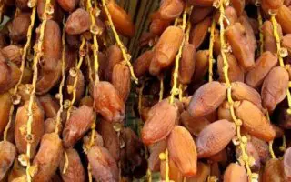 Exportations de dattes : l’Algérie leader africain avec 185 000 tonnes