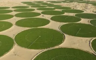 420 millions € et 6 700 emplois : le méga-projet agricole de Timimoun monte en puissance