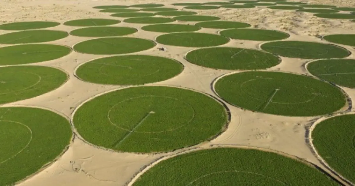 420 millions € et 6 700 emplois : le méga-projet agricole de Timimoun monte en puissance
