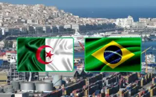2,3 milliards $ d’échanges en 2026 : Qu’exporte réellement l’Algérie au Brésil ?