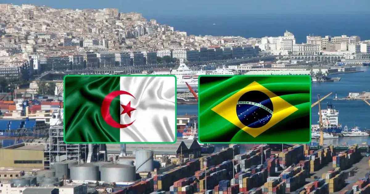 2,3 milliards $ d’échanges en 2026 : Qu’exporte réellement l’Algérie au Brésil ?