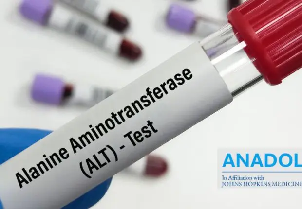 Prise de sang : que signifie un taux d&rsquo;ALT anormal pour la santé de votre foie ?
