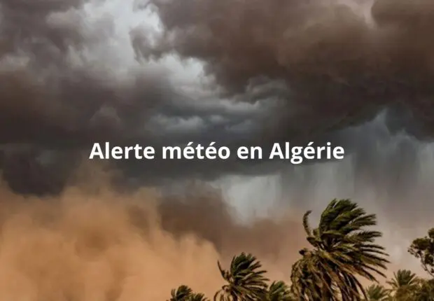 Pluies, orages et vents de sable : que nous réserve la météo en ce début de semaine