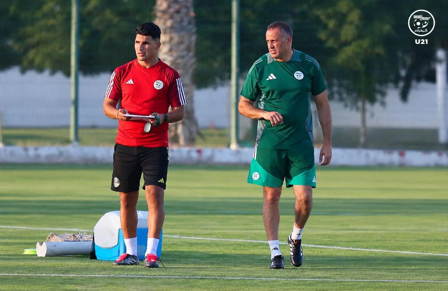 Contrat, durée, objectif : ce que la FAF attend de Brahim Hemdani