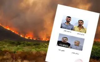 Ils ont filmé leur propre crime : incendiaires démasqués en Kabylie et à Setif