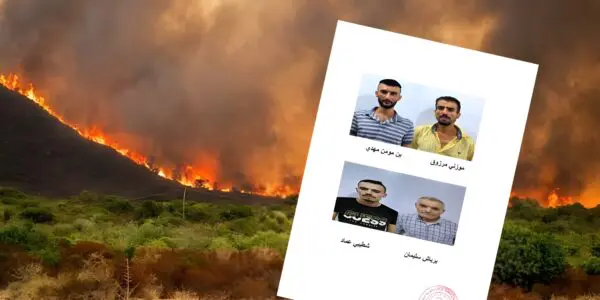 Ils ont filmé leur propre crime : incendiaires démasqués en Kabylie et à Sétif