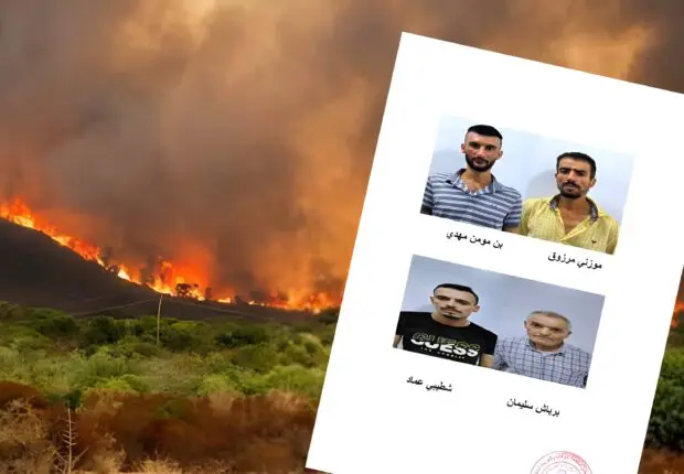 Ils ont filmé leur propre crime : incendiaires démasqués en Kabylie et à Sétif