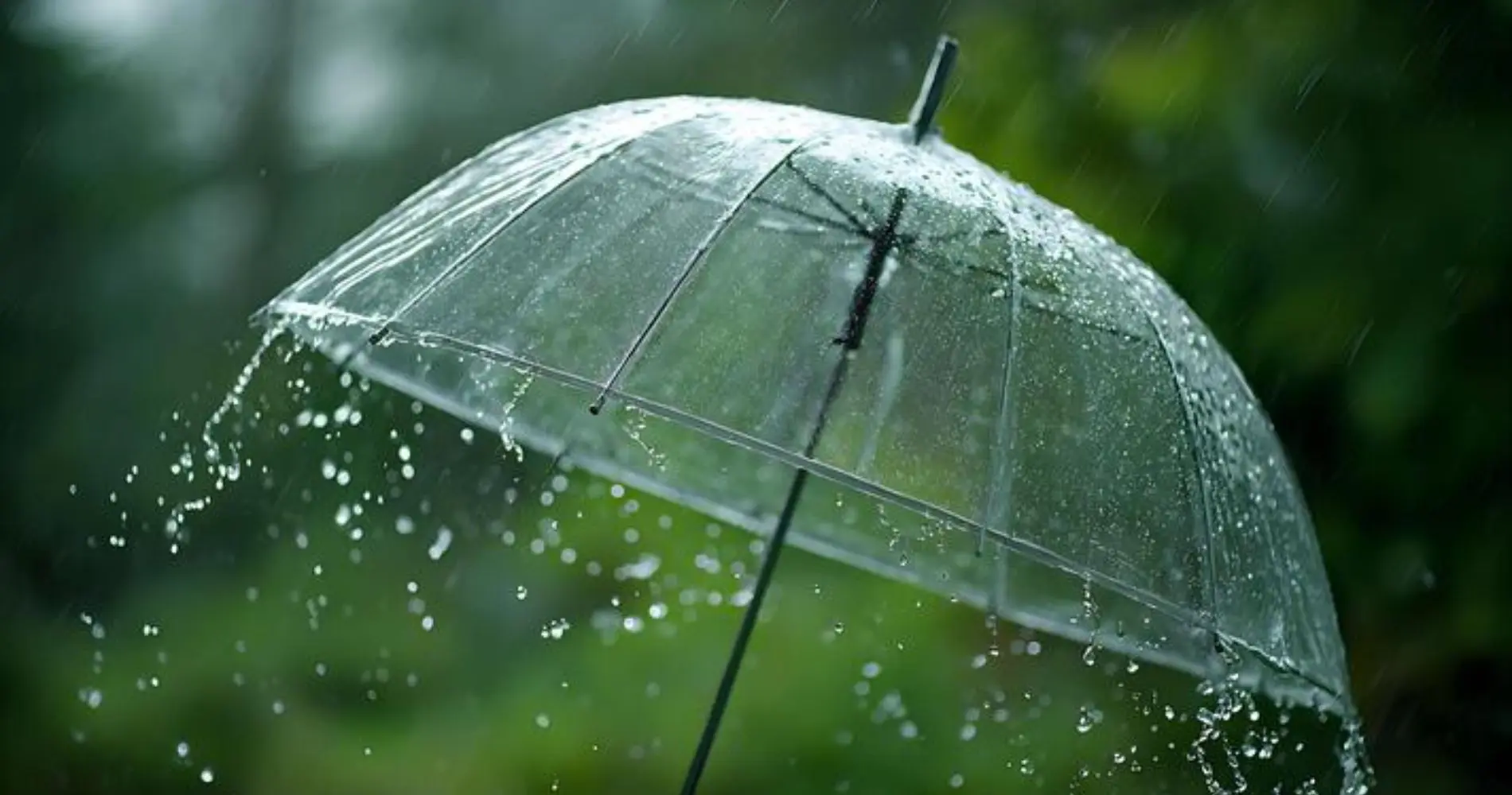 Météo Algérie : six wilayas en vigilance orange pour de fortes pluies ce jeudi 24 septembre
