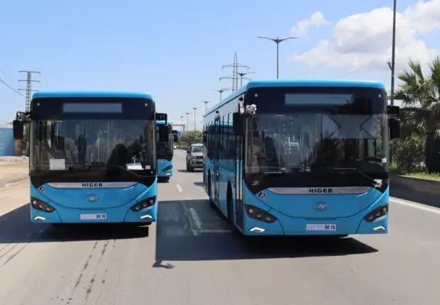 Transport à Alger : l&rsquo;ETUSA double ses bus et lance un programme spécial dès ce dimanche 20 septembre