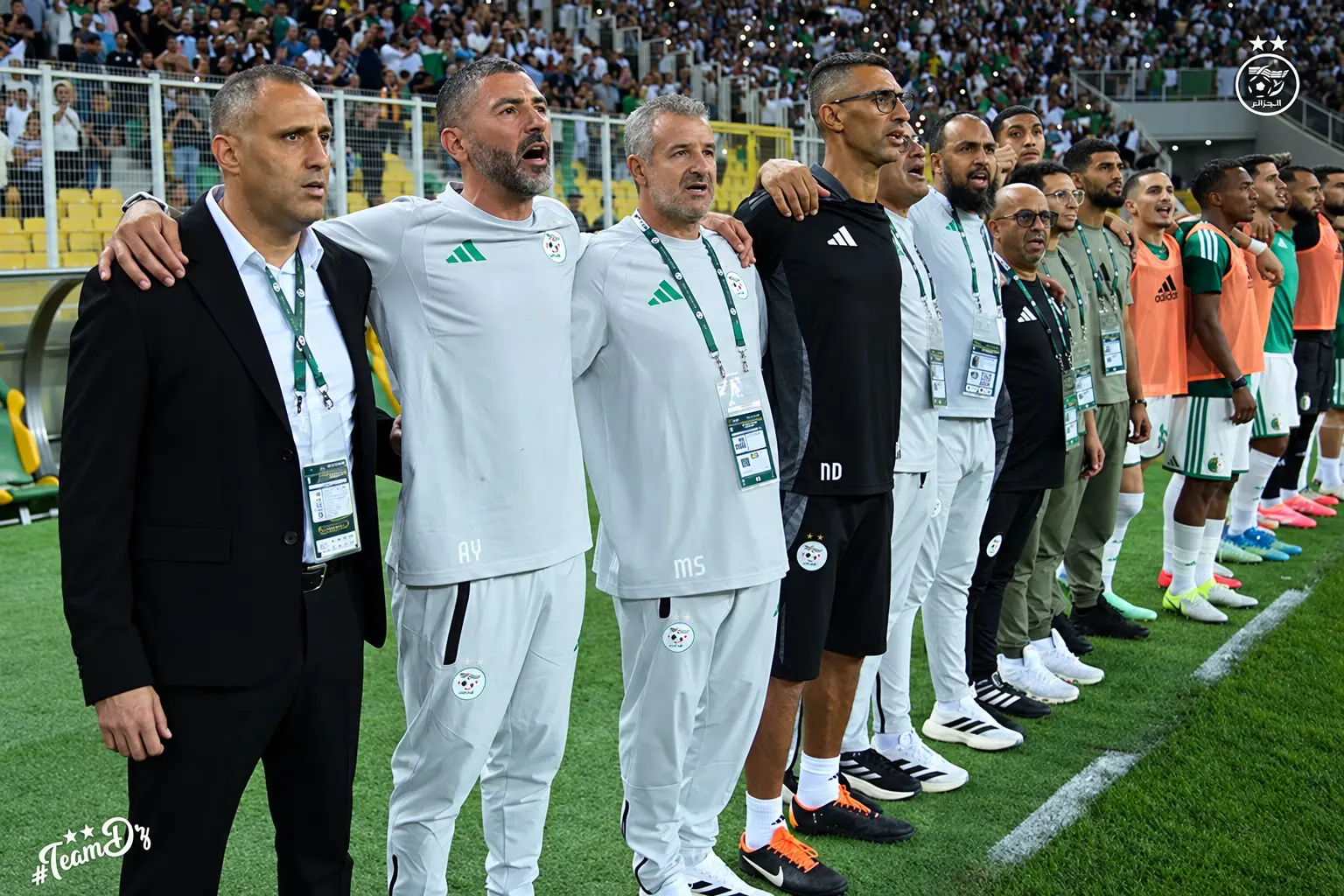 Discipline, cohésion, autorité : le chantier qui attend Hemdani chez les Verts