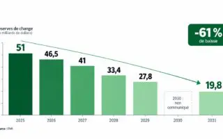 Algérie : le FMI voit les réserves de change passer de 51 à 19,8 milliards de dollars d’ici 2031