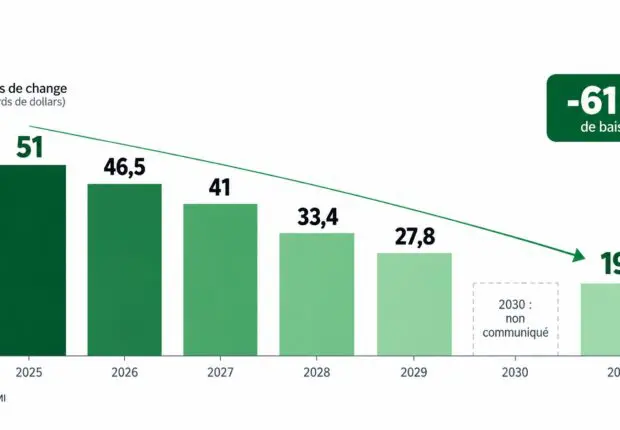 Algérie : le FMI voit les réserves de change passer de 51 à 19,8 milliards de dollars d&rsquo;ici 2031