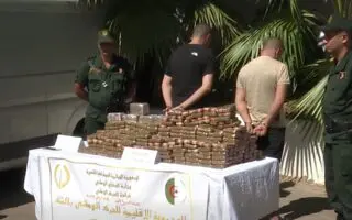 Plus de 71kg de résine de cannabis saisis : les gendarmes de Chlef remontent une vaste filière