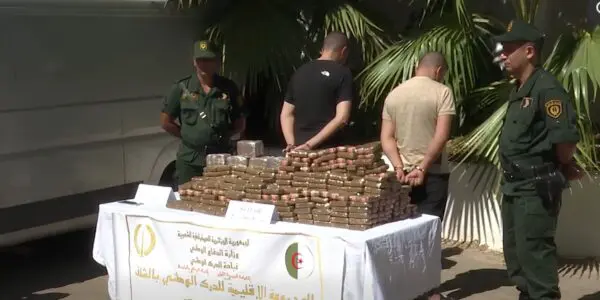 Plus de 71kg de résine de cannabis saisis : les gendarmes de Chlef remontent une vaste filière