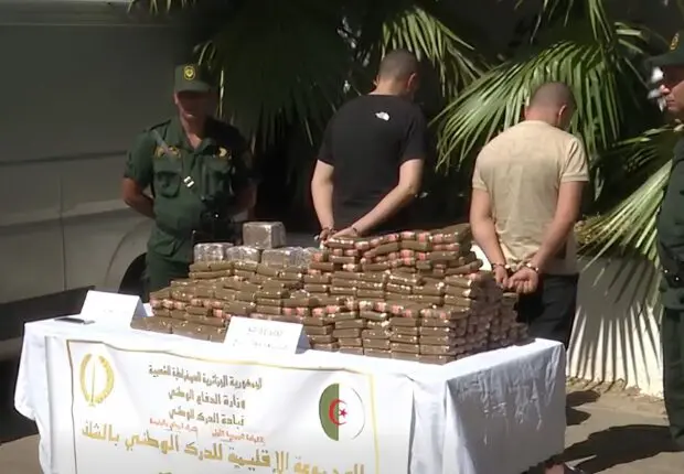 Plus de 71kg de résine de cannabis saisis : les gendarmes de Chlef remontent une vaste filière