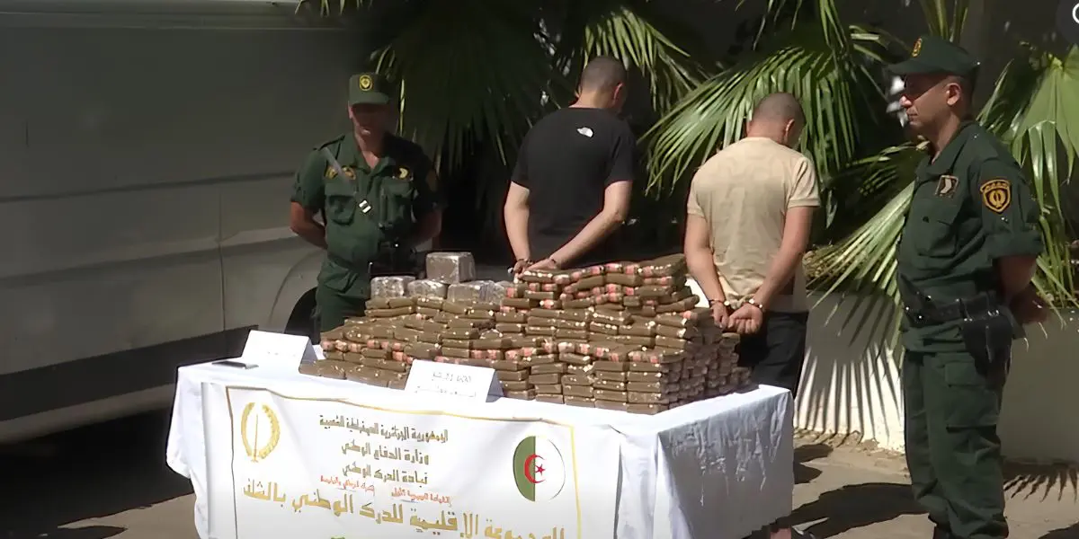 Plus de 71kg de résine de cannabis saisis : les gendarmes de Chlef remontent une vaste filière