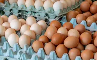 Œufs en Algérie : les prix doublent, le plateau frôle désormais à 680 DA