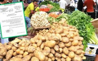 « 90 DA/kg » : l&rsquo;État plafonne le prix de la pomme de terre