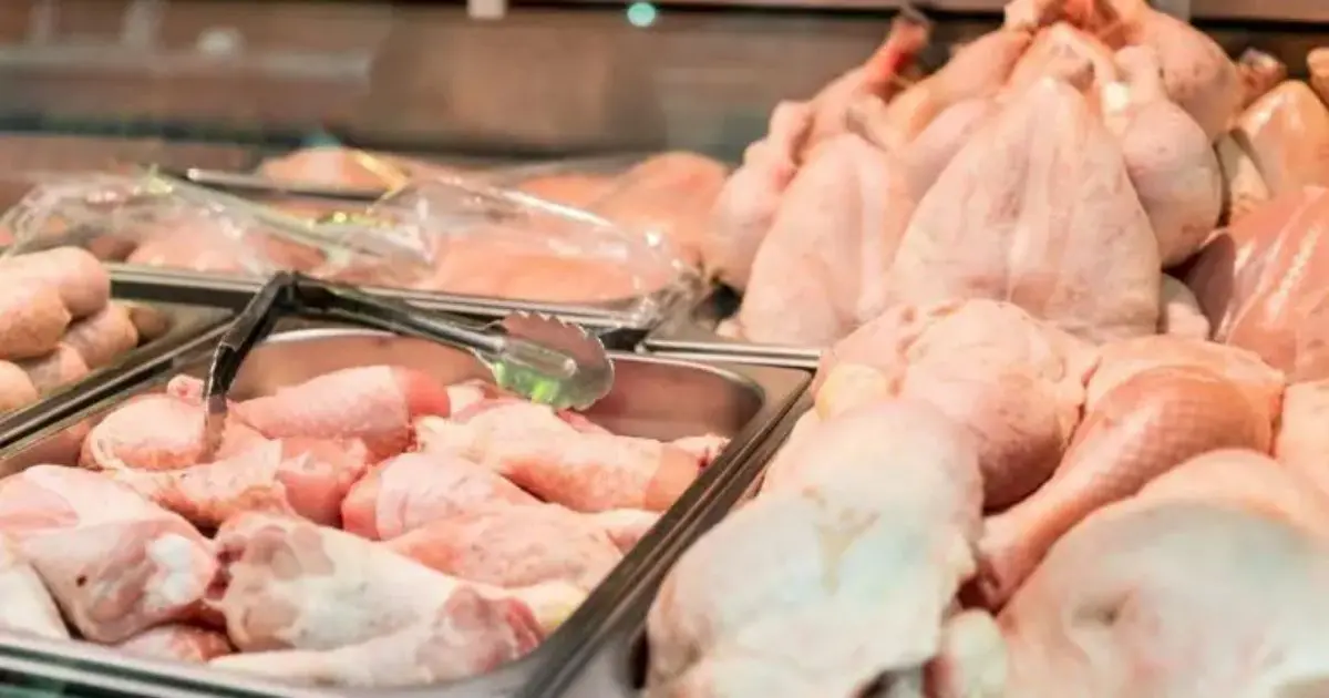 Après avoir dépassé les 600 DA/kg, le prix du poulet revient à la raison