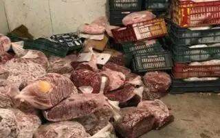 Saisie choc : Près de 200 kg de viande et de poissons avariés découverts dans un garage privé
