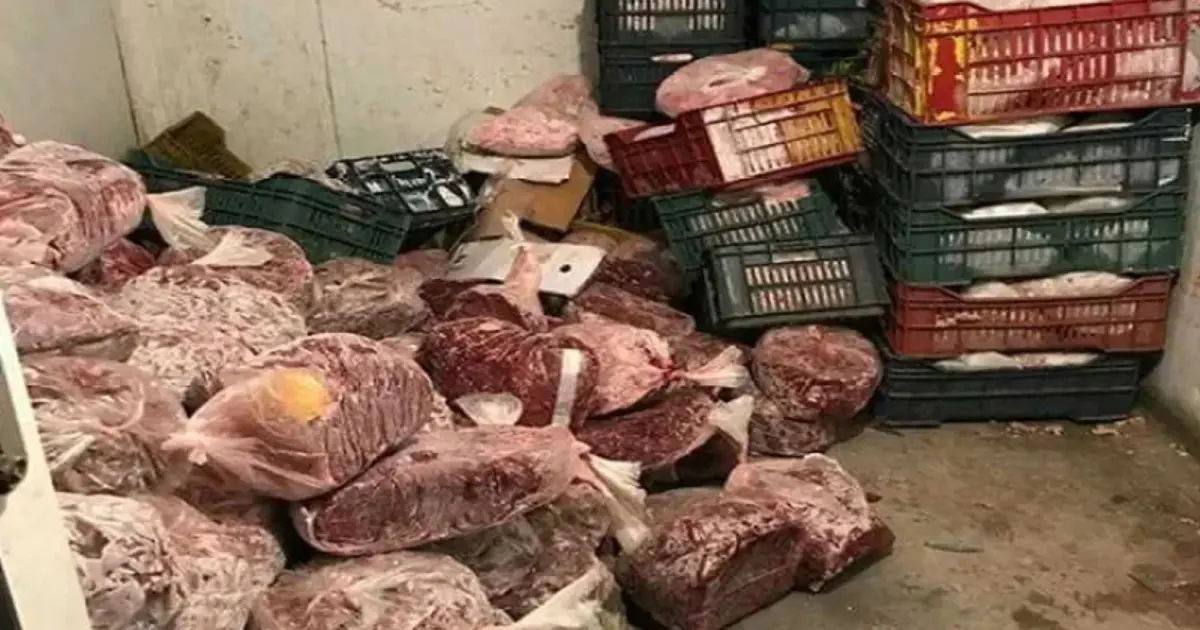 Saisie choc : Près de 200 kg de viande et de poissons avariés découverts dans un garage privé