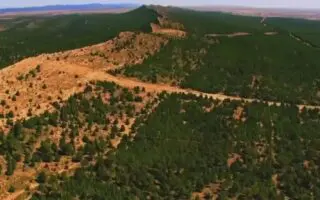 Restauration du couvert végétal : la DGF dévoile un programme massif de reboisement à travers le pays