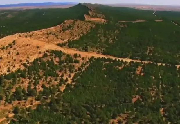 Restauration du couvert végétal : la DGF dévoile un programme massif de reboisement à travers le pays