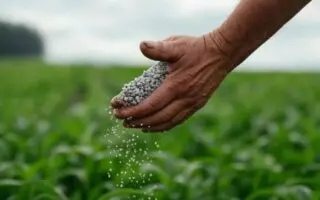 Engrais : dépendant à 80 % des importations, ce pays d&rsquo;Asie se tourne vers l&rsquo;Algérie