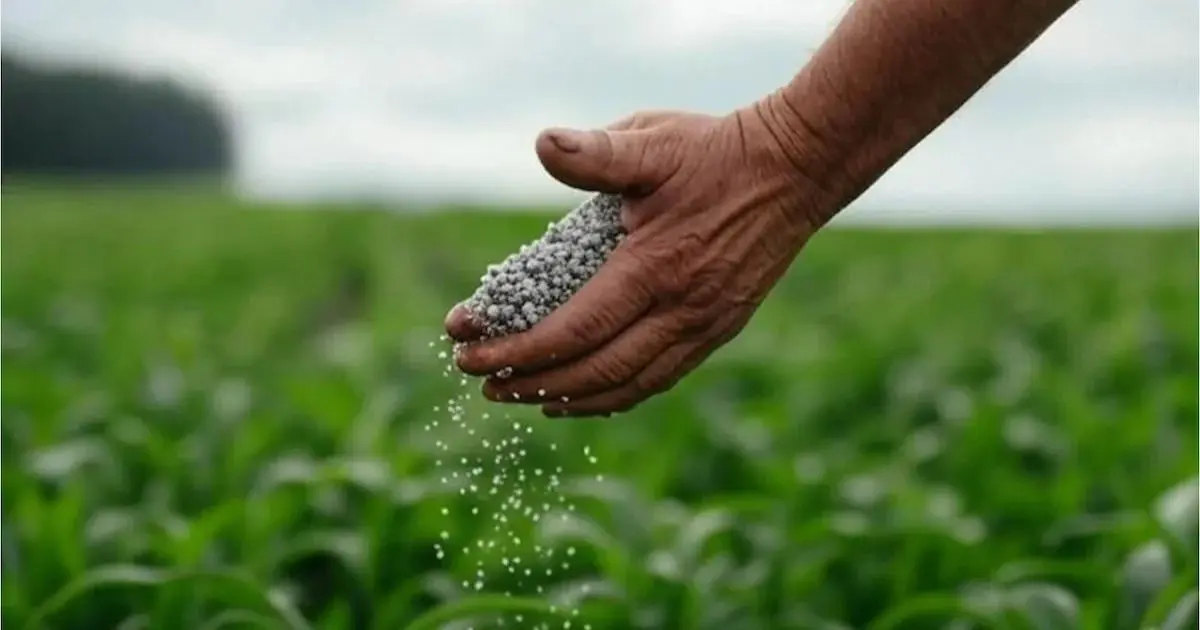 Engrais : dépendant à 80 % des importations, ce pays d&rsquo;Asie se tourne vers l&rsquo;Algérie