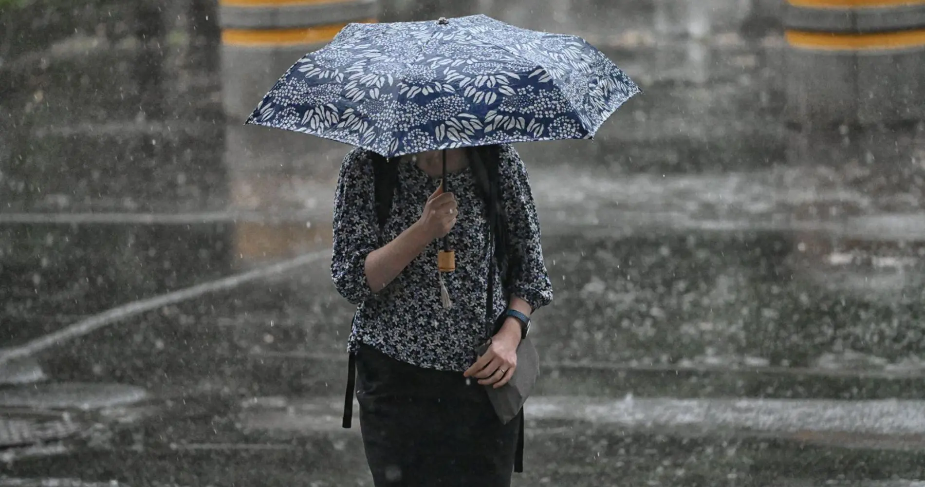 Météo Algérie : jusqu’à 40 mm de pluie attendus, la vigilance maintenue jeudi et vendredi
