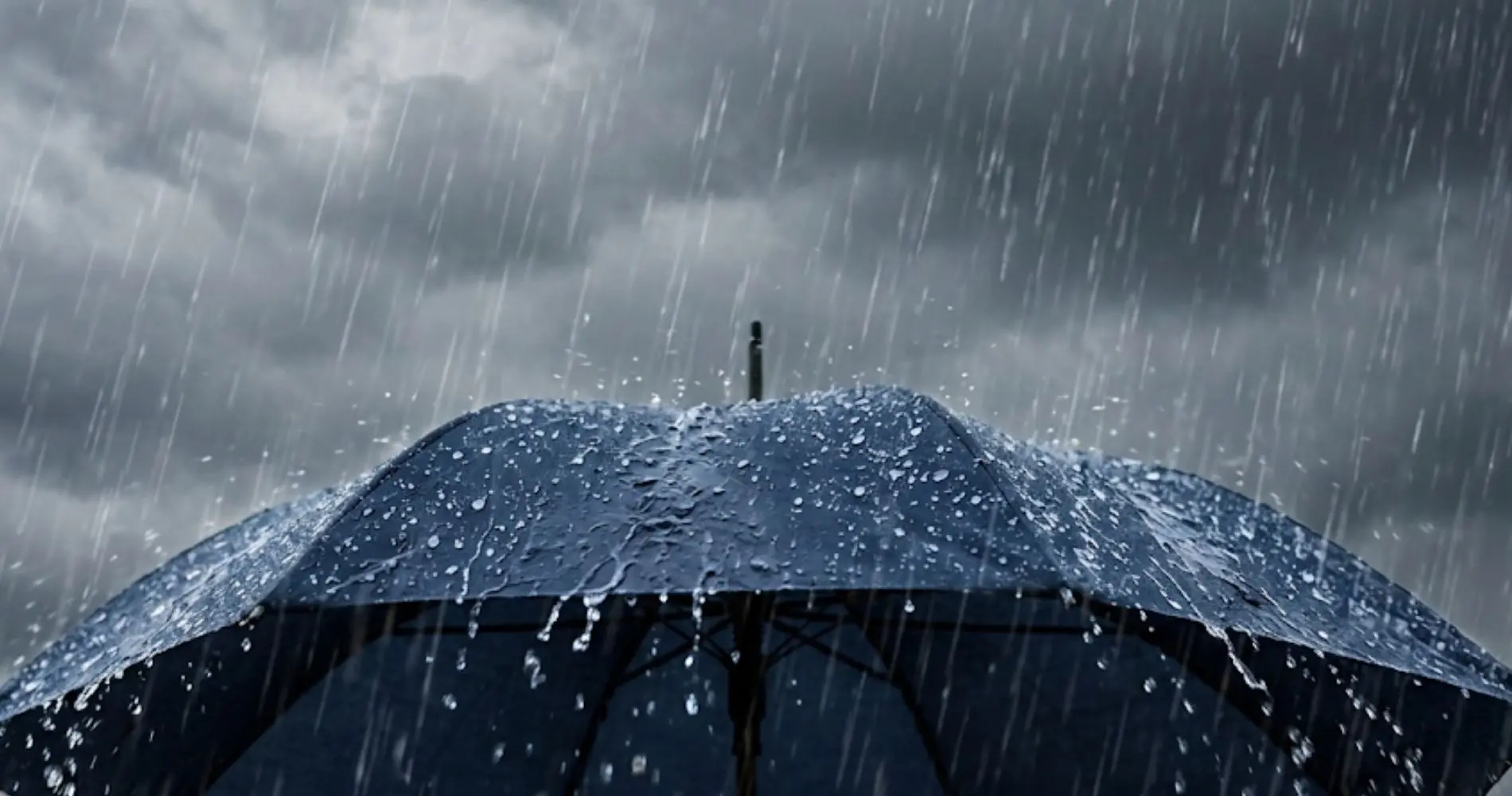 Météo Algérie : jusqu’à 50 mm de pluie attendus dans plusieurs wilayas dimanche et lundi