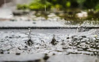 BMS météo en Algérie : jusqu’à 40 mm de pluie attendus samedi et dimanche