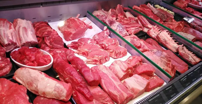 De l’importation à l’investissement : le nouveau pari algéro-espagnol sur les viandes rouges