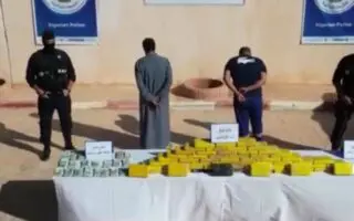 Trafic de drogue : 69 kg de cocaïne cachés dans un camion frigorifique