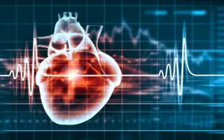 Maladies cardiovasculaires en Algérie : le ministère de la Santé tire la sonnette d’alarme