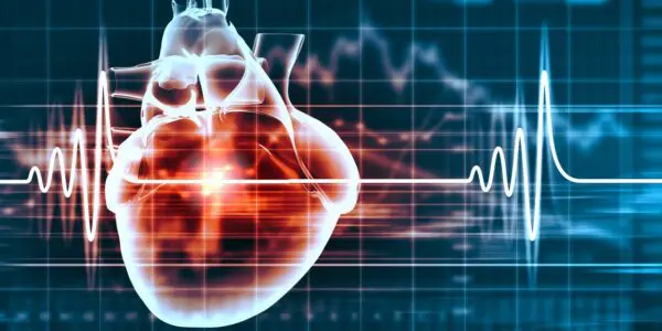 Maladies cardiovasculaires en Algérie : le ministère de la Santé tire la sonnette d’alarme