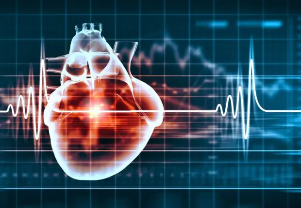 Maladies cardiovasculaires en Algérie : le ministère de la Santé tire la sonnette d’alarme