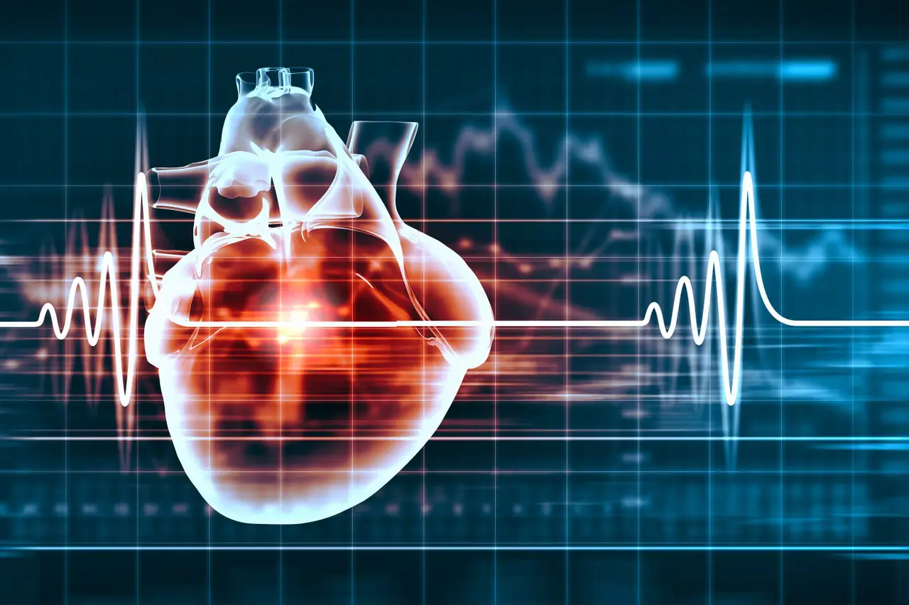 Maladies cardiovasculaires en Algérie : le ministère de la Santé tire la sonnette d’alarme
