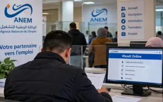 Allocation chômage de 18 000 DA : les 5 erreurs qui peuvent vous faire perdre vos droits