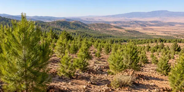 Barrage vert : 43 millions de dollars du Fonds vert pour le climat, ce que va financer ce premier projet