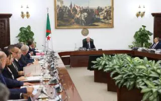 Récolte céréalière : Tebboune demande un Conseil des ministres consacré à l&rsquo;agriculture