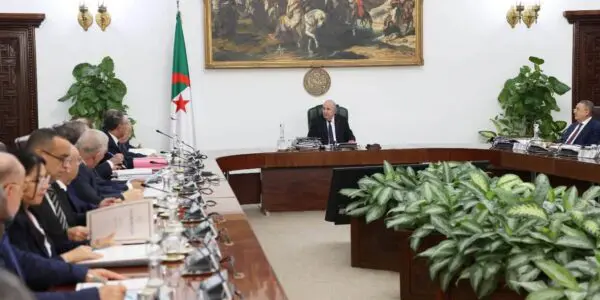 Récolte céréalière : Tebboune demande un Conseil des ministres consacré à l&rsquo;agriculture
