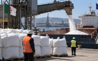 Urée : l&rsquo;Algérie suspend ses exportations vers la France, qui réclame plus de pétrole et de gaz
