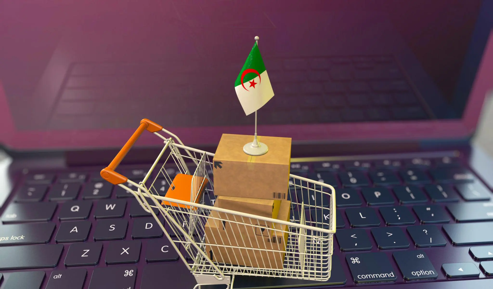 Vente en ligne en Algérie : le PLF 2027 prévoit une amende de 1 million de DA