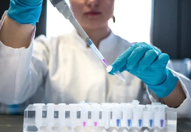 Un cas mortel de peste en Russie ? Ce que l’on sait après le décès d’une technicienne de laboratoire