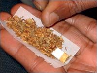 L&rsquo;Algérie fief des narcotrafiquants marocains